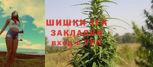 бошки Арсеньев