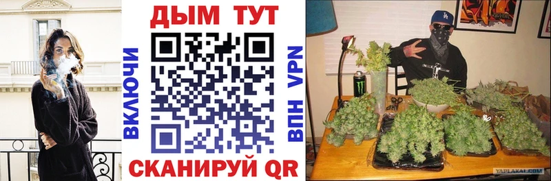 ссылка на мегу как зайти Щигры даркнет формула Каннабис семена